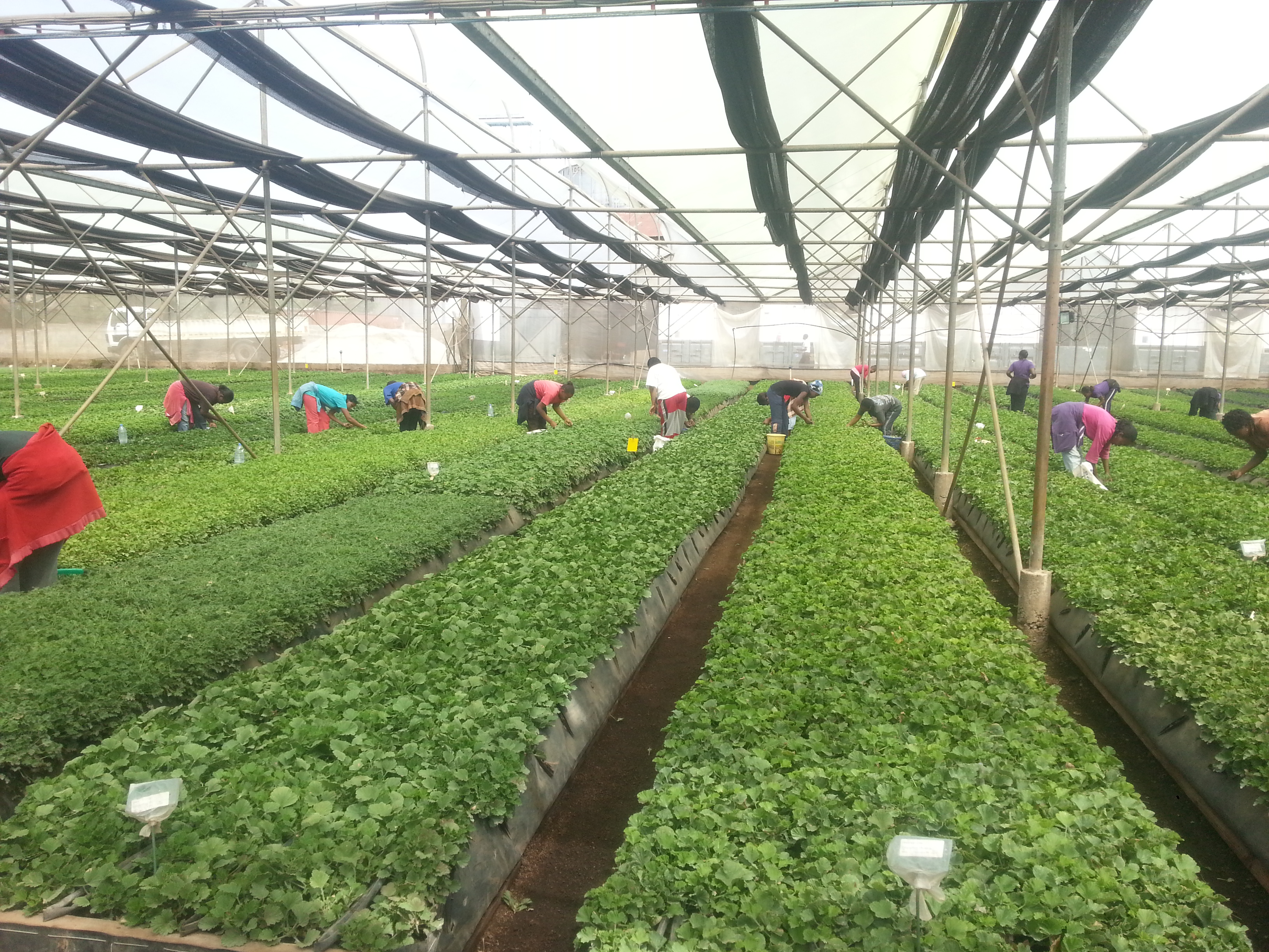 products and adverts sliding banners